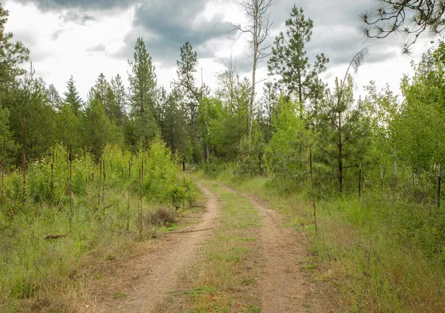 Homes for sale in Springdale, WA | 4110 Cemetery Tract Ab Rd, Springdale, WA 99137 | MLS# 202619687