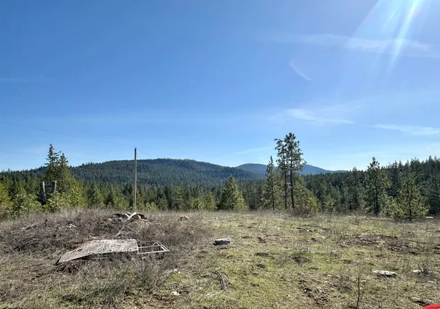 1st image of 1101 Scotia Rd, Newport, WA 99156 | MLS# 202619717