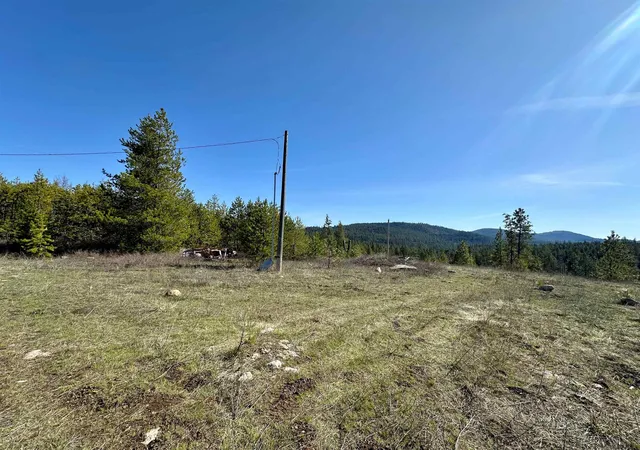 2nd image of 1101 Scotia Rd, Newport, WA 99156 | MLS# 202619717