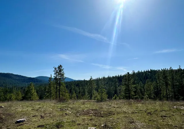 1st image of 1059 Scotia Rd, Newport, WA 99156 | MLS# 202619718
