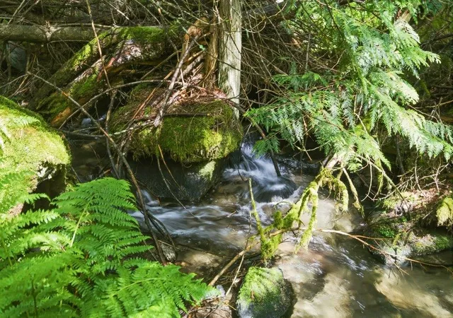 1st image of 1301 Veit Rd, Newport, WA 99156 | MLS# 202619740