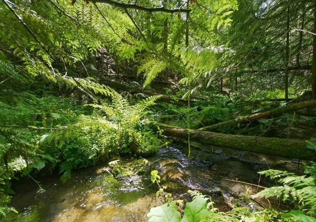 2nd image of 1301 Veit Rd, Newport, WA 99156 | MLS# 202619740