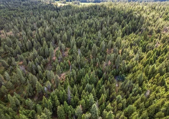 33rd image of 1301 Veit Rd, Newport, WA 99156 | MLS# 202619740