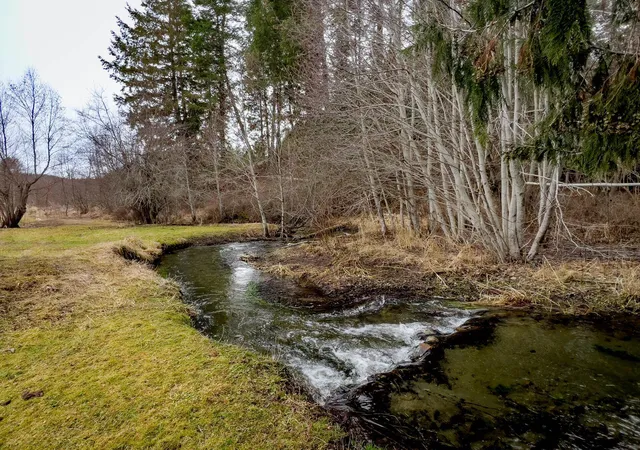 Homes for sale in Addy, WA | 2063 A Marble Valley Basin Rd, Addy, WA 99101 | MLS# 202619806