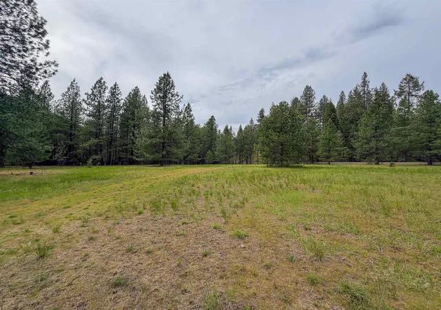 Homes for sale in Cusick, WA | 14451 N Leclerc Rd, Cusick, WA 99119 | MLS# 202619810