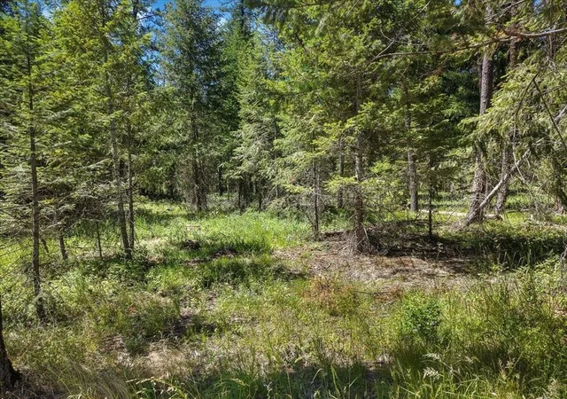 Land for sale at 305xx N Cleveland Rd, Deer Park, WA 99006 | MLS# 202619818