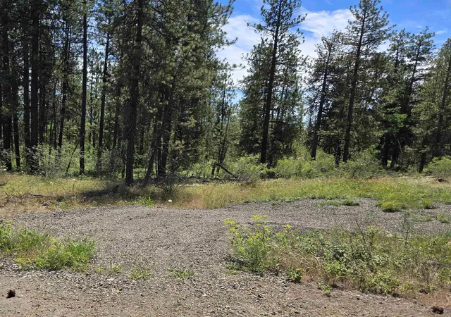 Land for sale at 13711 W Farwell Rd, Nine Mile Falls, WA 99026 | MLS# 202619927