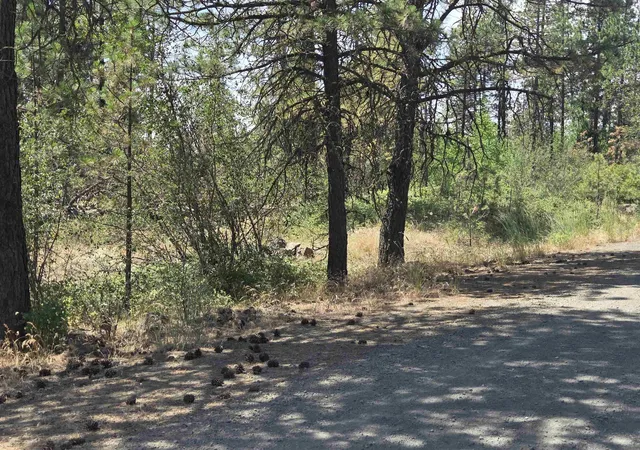 Photo 2 of Land for sale at 13711 W Farwell Rd, Nine Mile Falls, WA 99026 | MLS# 202619927 | Listing updated on 2026-09-18