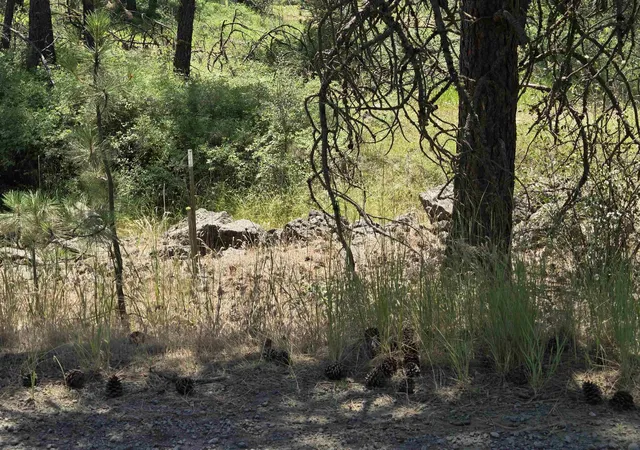 Photo 3 of Land for sale at 13711 W Farwell Rd, Nine Mile Falls, WA 99026 | MLS# 202619927 | Listing updated on 2026-09-18