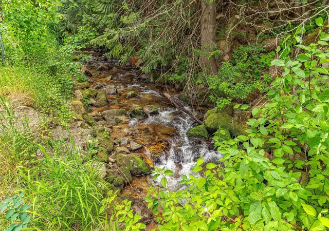 Photo 3 of Land for sale at 19960 + 19970 N Mt Spokane Park Dr, Mead, WA 99021 | MLS# 202619967 | Listing updated on 2026-07-03