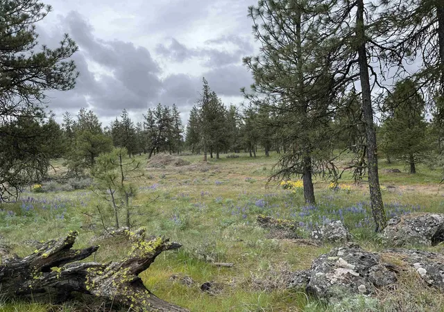 3rd image of 21Xxx S Harrison Rd, Edwall, WA 99008 | MLS# 202619993