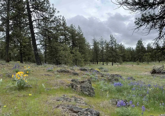 4th image of 21Xxx S Harrison Rd, Edwall, WA 99008 | MLS# 202619993