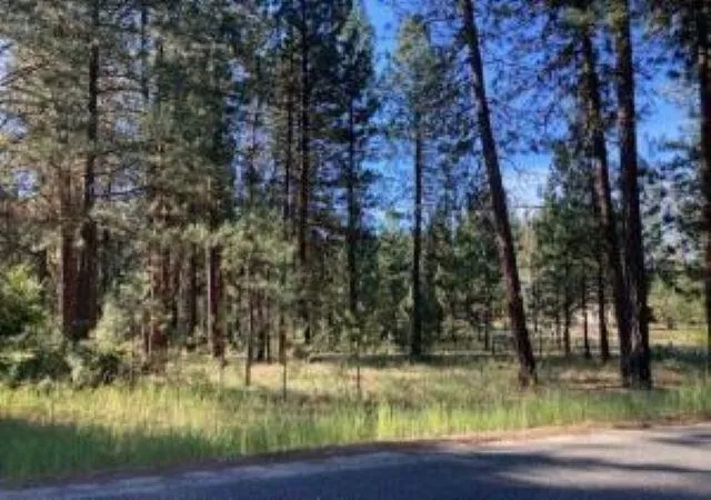 Homes for sale in Kettle Falls, WA | 1213 Fumi Cir, Kettle Falls, WA 99141 | MLS# 202620027