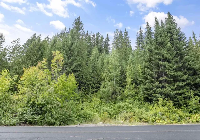 Homes for sale in Mead, WA | 234xx N Mt Spokane Park Dr, Mead, WA 99021 | MLS# 202620029