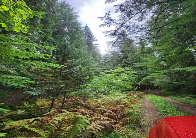 Photo 3 of Land for sale at 234xx N Mt Spokane Park Dr, Mead, WA 99021 | MLS# 202620029 | Listing updated on 2026-07-05