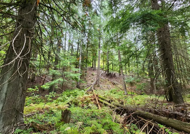 Photo 3 of Land for sale at 234xx N Mt Spokane Park Dr, Mead, WA 99021 | MLS# 202620029 | Listing updated on 2026-07-05