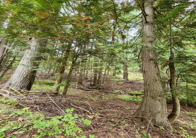 Photo 4 of Land for sale at 234xx N Mt Spokane Park Dr, Mead, WA 99021 | MLS# 202620029 | Listing updated on 2026-07-05