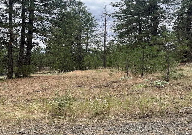 Photo 3 of Land for sale at 31676 Sontag Ridge E Dr, Davenport, WA 99122 | MLS# 202620036 | Listing updated on 2026-07-05