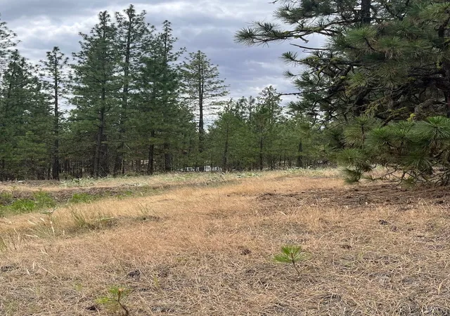 Photo 4 of Land for sale at 31676 Sontag Ridge E Dr, Davenport, WA 99122 | MLS# 202620036 | Listing updated on 2026-07-05