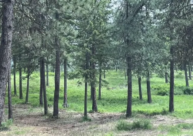 Photo 2 of Land for sale at Lot #7 Bella Coola Dr, Inchelium, WA 99138 | MLS# 202620042 | Listing updated on 2026-07-06
