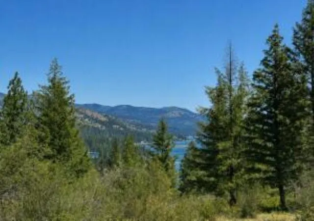 Photo 1 of Land for sale at 3634 N 25 Highway, Northport, WA 99157 | MLS# 202620055 | Listing updated on 2026-07-21