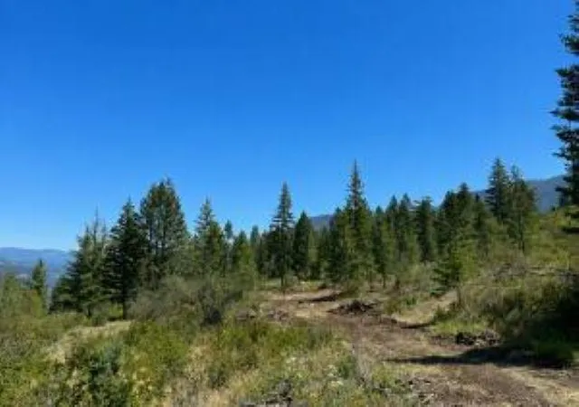 Photo 2 of Land for sale at 3634 N 25 Highway, Northport, WA 99157 | MLS# 202620055 | Listing updated on 2026-07-21