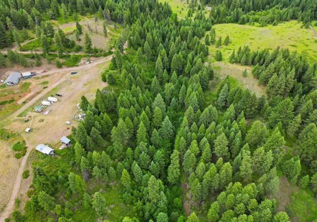 Homes for sale in Republic, WA | 292 E Knob Hill E Rd, Republic, WA 99166 | MLS# 202620092