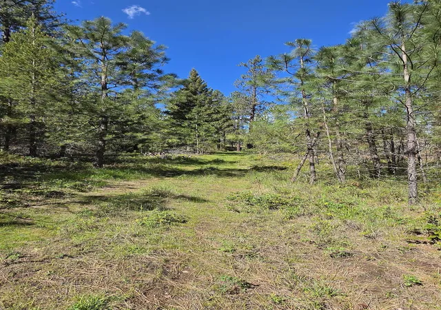 24th image of 230xx N Crescent Rd, Colbert, WA 99005 | MLS# 202620138