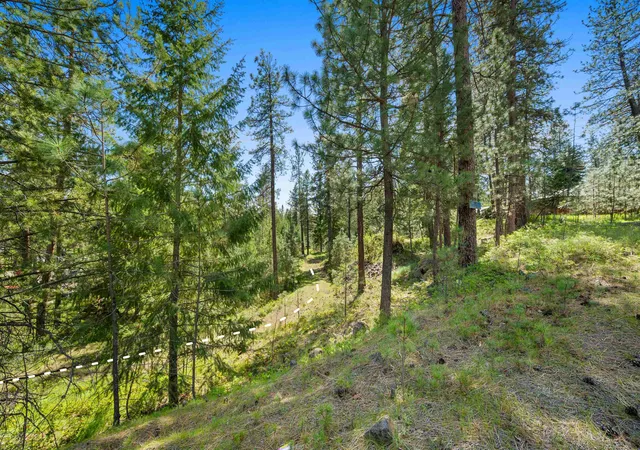 4th image of 230Xx N Crescent Rd, Colbert, WA 99005 | MLS# 202620138