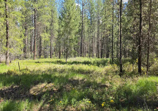 5th image of 230Xx N Crescent Rd, Colbert, WA 99005 | MLS# 202620138