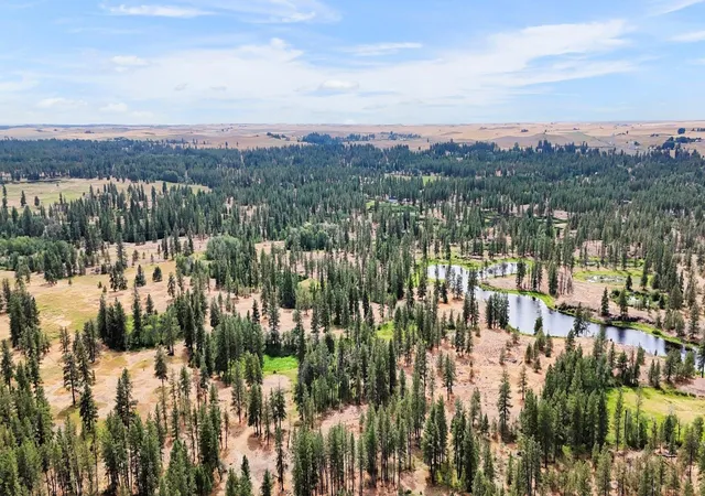 Homes for sale in Medical Lake, WA | Nka S Stangland Rd, Medical Lake, WA 99022 | MLS# 202620175