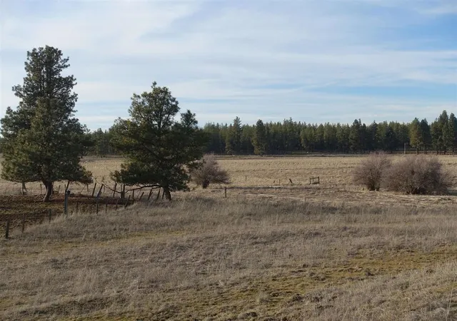 Land for sale at 20xxx S Parker Rd, Spangle, WA 99031 | MLS# 202620211