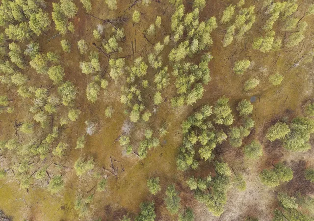 Photo 27 of Land for sale at 20xxx S Parker Rd, Spangle, WA 99031 | MLS# 202620211 | Listing updated on 2026-07-08
