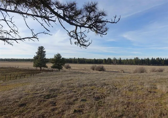 Photo 3 of Land for sale at 20xxx S Parker Rd, Spangle, WA 99031 | MLS# 202620211 | Listing updated on 2026-07-08