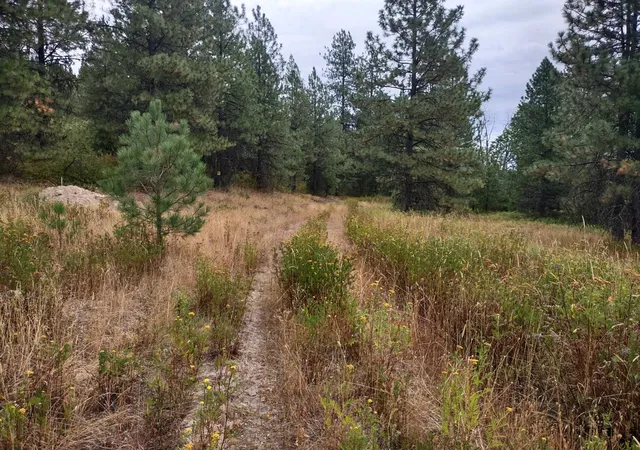 Homes for sale in Valley, WA | Xx Little Sweden Rd, Valley, WA 99181 | MLS# 202620237