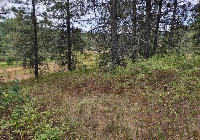 Homes for sale in Valley, WA | Xx Little Sweden Rd, Valley, WA 99181 | MLS# 202620237