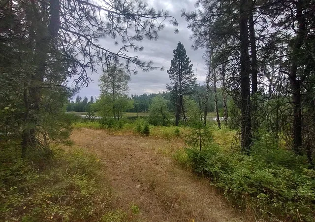 Homes for sale in Valley, WA | Xx Little Sweden Rd, Valley, WA 99181 | MLS# 202620237