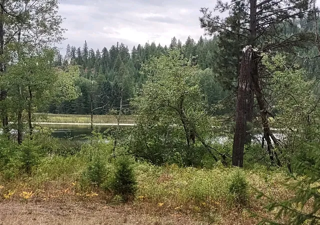 Homes for sale in Valley, WA | Xx Little Sweden Rd, Valley, WA 99181 | MLS# 202620237