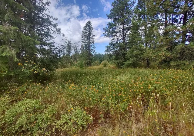 Homes for sale in Valley, WA | Xx Little Sweden Rd, Valley, WA 99181 | MLS# 202620237
