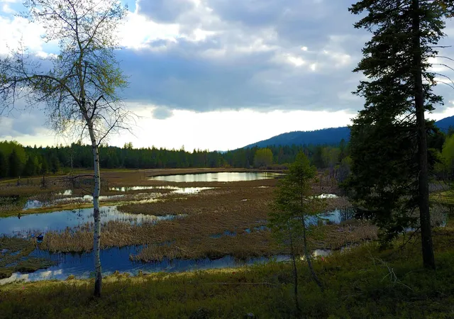 Photo 3 of Land for sale at 3673 Little Sweden Rd, Valley, WA 99181 | MLS# 202620241 | Listing updated on 2026-07-08