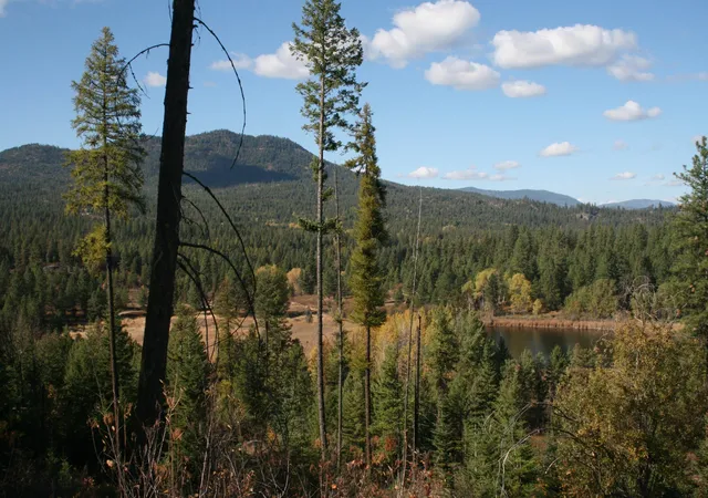 Photo 4 of Land for sale at 3673 Little Sweden Rd, Valley, WA 99181 | MLS# 202620241 | Listing updated on 2026-07-08