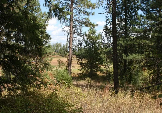 Homes for sale in Valley, WA | 00 Little Sweden Rd, Valley, WA 99181 | MLS# 202620244