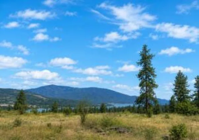 Homes for sale in Kettle Falls, WA | 7 Ballard Ave, Kettle Falls, WA 99141 | MLS# 202620254