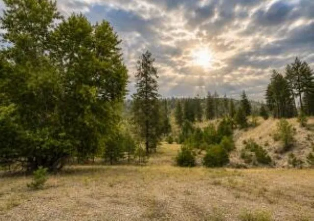 Homes for sale in Kettle Falls, WA | 7 Ballard Ave, Kettle Falls, WA 99141 | MLS# 202620254