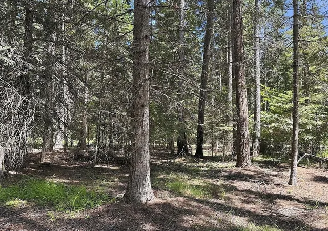 Homes for sale in Cusick, WA | 641 Riverbend Loop Rd, Cusick, WA 99119 | MLS# 202620302