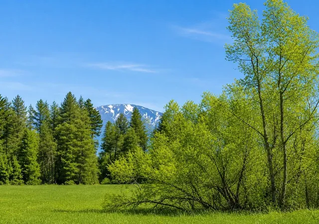 Photo 1 of Land for sale at 413xx N Short Rd, Deer Park, WA 99006 | MLS# 202620335 | Listing updated on 2026-08-20