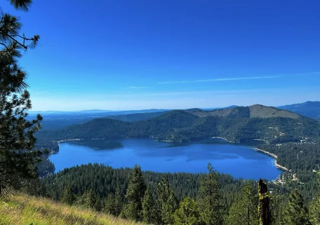 Homes for sale in Loon Lake, WA | 3797 Deer Ln, Loon Lake, WA 99148 | MLS# 202620357