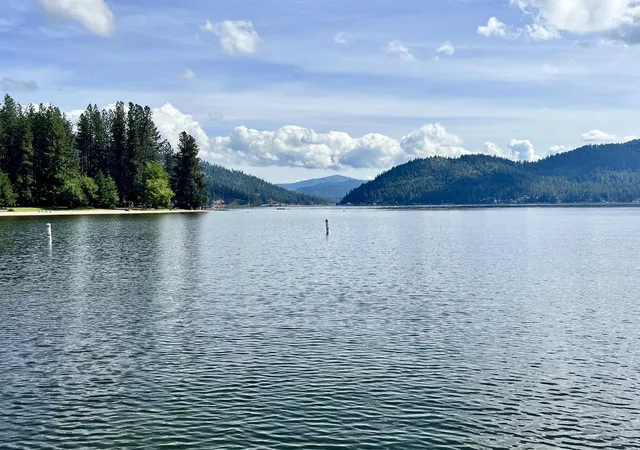 Homes for sale in Loon Lake, WA | 3797 Deer Ln, Loon Lake, WA 99148 | MLS# 202620357