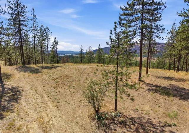 Homes for sale in Nine Mile Falls, WA | 21609 W South Bank Rd, Nine Mile Falls, WA 99026 | MLS# 202620363