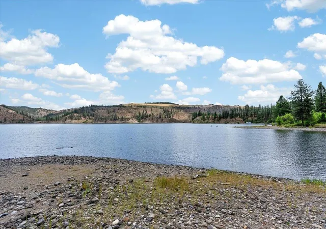 Homes for sale in Davenport, WA | 42049 Porcupine Bay N Rd, Davenport, WA 99122 | MLS# 202620380